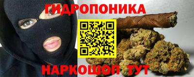 эйфоретик Тайшет
