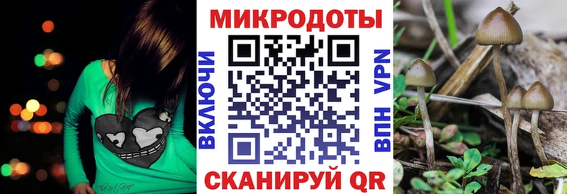mega рабочий сайт  Егорьевск  Галлюциногенные грибы Magic Shrooms  как найти закладки 