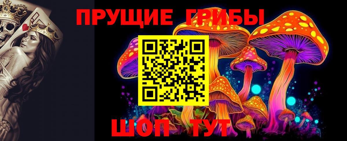 где купить   Псилоцибиновые грибы мицелий  Вход с VPN  Егорьевск 